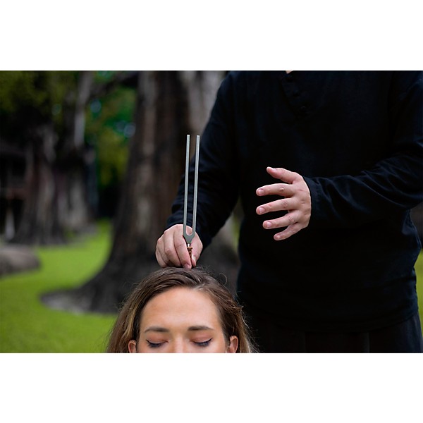 MEINL Sonic Energy TCM Therapy Tuning Fork 2-Piece Set With Holder - Yin & Yang