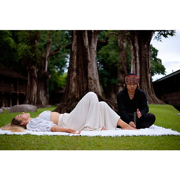 MEINL Sonic Energy TCM Therapy Tuning Fork - Wood