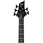 ESP LTD B-205DX 5-String Electric Bass Guitar - Black Burst