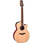 Takamine Taka-mini GX31CE NEX-mini Acoustic-Electric Guitar - Natural