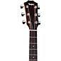 Taylor 214ce Special-Edition Acoustic-Electric Guitar - Honeyburst