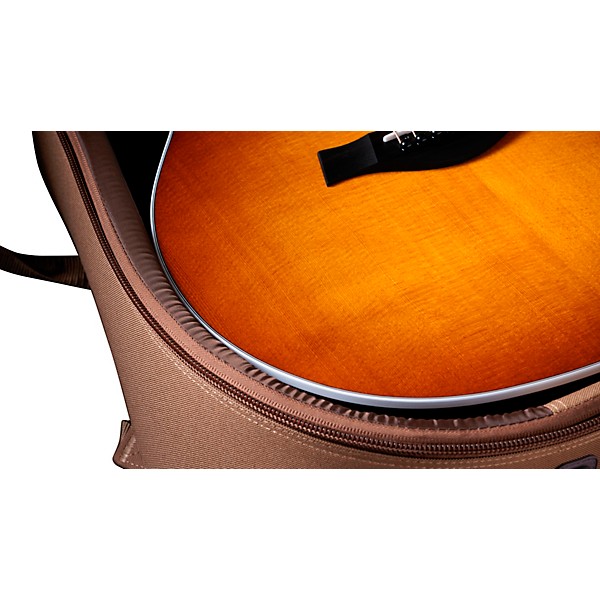 Taylor 214ce Special-Edition Acoustic-Electric Guitar - Honeyburst