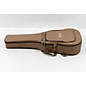 Open Box Taylor 214ce Special-Edition Acoustic-Electric Guitar - Level 3 Honeyburst 197881467166