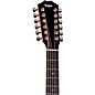 Taylor 354ce Studio Special-Edition 12-String Acoustic-Electric Guitar - Honeyburst