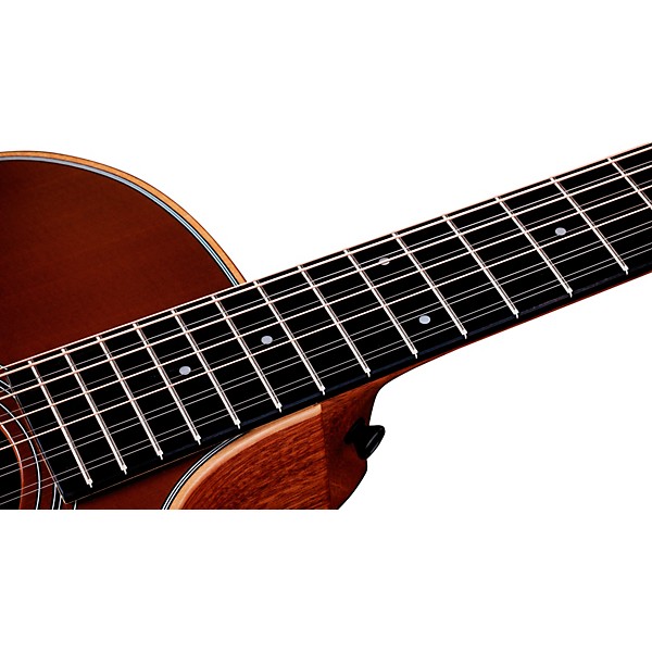 Taylor 354ce Studio Special-Edition 12-String Acoustic-Electric Guitar - Honeyburst