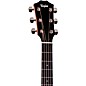 Taylor 414ce Studio Special-Edition Acoustic-Electric Guitar - Honeyburst