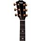 Taylor 214ce-K DLX Special-Edition Acoustic-Electric Guitar - Honeyburst