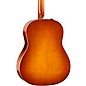 Taylor 217e Plus Special-Edition Acoustic-Electric Guitar - Honeyburst