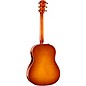 Taylor 217e Plus Special-Edition Acoustic-Electric Guitar - Honeyburst