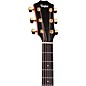 Taylor 217e Plus Special-Edition Acoustic-Electric Guitar - Honeyburst
