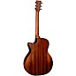 Martin Road Series Special GPC-10E StreetMaster Grand Performance Acoustic-Electric Guitar - Dark Mahogany Distressed