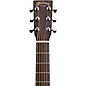 Martin Road Series Special GPC-11E Ziricote Grand Performance Acoustic-Electric Guitar - Burst
