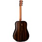 Martin Road Series Special D-11E Ziricote Dreadnought Acoustic-Electric Guitar - Natural