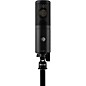 Shure KSM40C Large-Diaphragm Cardioid Condenser Microphone