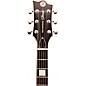 Reverend Sensei H90 Electric Guitar - Metallic Bronze