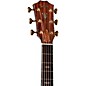 Taylor 2026 Catch Custom #6 C12ce Grand Concert Acoustic-Electric Guitar - Lilac Wine