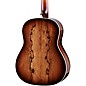Taylor 2026 Catch Custom #20 C57e Grand Pacific Acoustic-Electric Bajo Quinto - Shaded Edge Burst