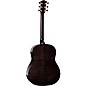 Taylor 2026 Catch Custom #9 C17e Grand Pacific Acoustic-Electric Guitar - Trans Black
