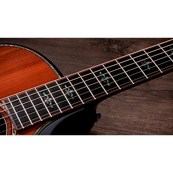 Taylor Next Generation Builder's Edition 914ce Honduran Rosewood Grand Auditorium Acoustic-Electric Guitar - Kona Edgeburst