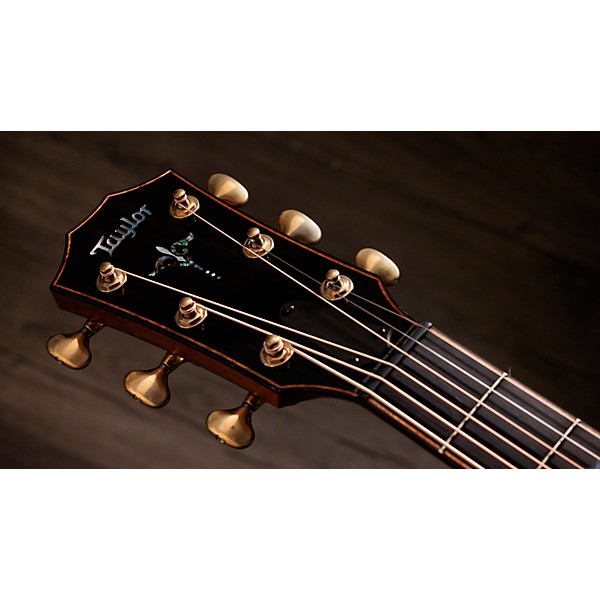 Taylor Next Generation Builder's Edition 914ce Grand Auditorium Acoustic-Electric Guitar - Kona Edgeburst
