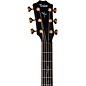 Taylor Next Generation Builder's Edition K24ce Grand Auditorium Acoustic-Electric Guitar - Kona Edgeburst