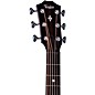 Taylor Next Generation Builder's Edition 524ce Grand Auditorium Acoustic-Electric Guitar - Tobacco Kona Burst