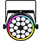 CHAUVET DJ FX Par 6 RGBW LED Par
