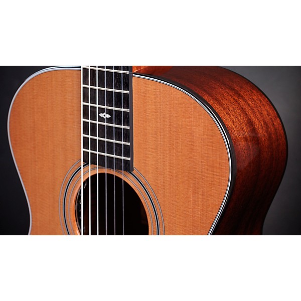 Taylor Sunset Blvd 312e-N Grand Concert Nylon-String Acoustic-Electric Guitar - Natural