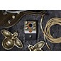 Beetronics FX Pollinator Hazee Delay Pedal - Dark Grey