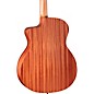 Taylor Sunset Blvd 24ce Grand Auditorium Acoustic-Electric Guitar - Sunset Edgeburst