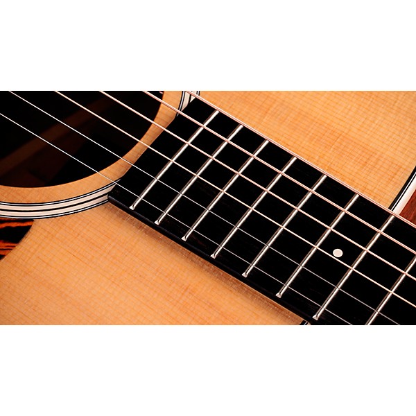 Taylor Gold Label 512e Grand Concert Acoustic-Electric Guitar - Natural