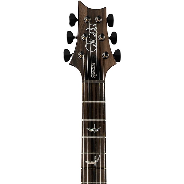 PRS Special Semi-Hollow Mango Limited Edition Electric Guitar - Charcoal Purple Burst