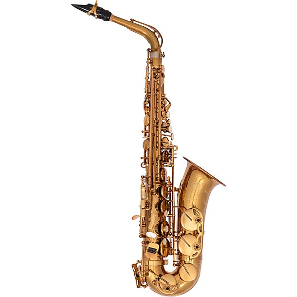Selmer Paris Signature USA Limited Edition Alto Sax Outfit Dark Gold Lacquer w Art Deco Engraving Dark Gold Lacquer Keys