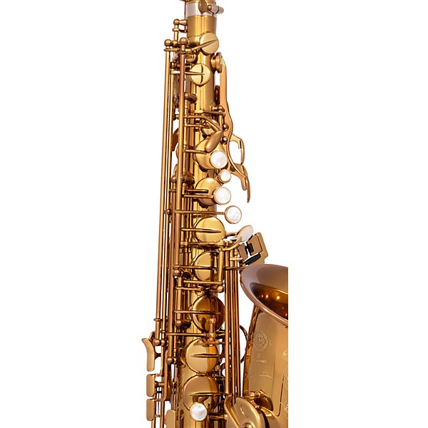 Selmer Paris Signature USA Limited Edition Alto Sax Outfit Dark Gold Lacquer w Art Deco Engraving Dark Gold Lacquer Keys