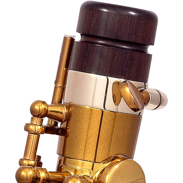 Selmer Paris Signature USA Limited Edition Alto Sax Outfit Dark Gold Lacquer w Art Deco Engraving Dark Gold Lacquer Keys