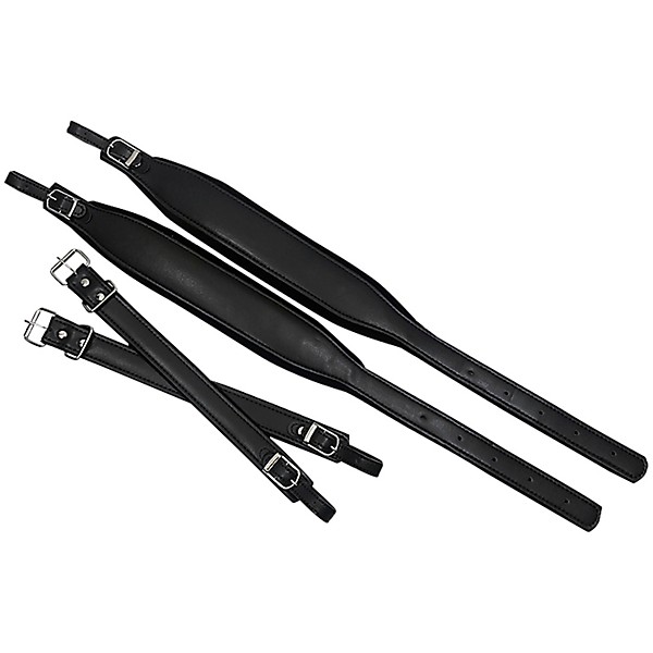 SofiaMari 34-Button Diatonic Accordion - Mexican Flag, FBE