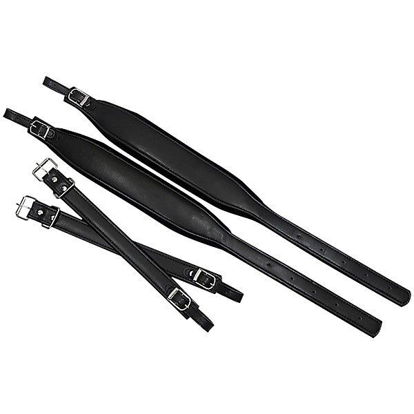 SofiaMari 34-Button Diatonic Accordion - Red & Black Tri-Color, FBE