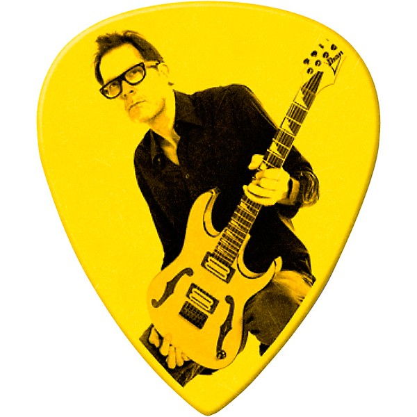 Dunlop Custom Tortex TIII Paul Gilbert Signature Guitar Picks - .73 mm 36 Pack