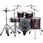 Ludwig Evolution 5-Piece Drum Set With Paiste Cymbals - Caramel Sparkle