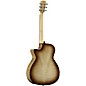 Alvarez AEG800CE Grand Auditorium Acoustic-Electric Guitar - Shadow Burst