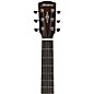 Alvarez AEG800CE Grand Auditorium Acoustic-Electric Guitar - Shadow Burst