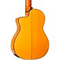 Ortega Traditional Series RCE270FT Thinline Acoustic-Electric Classical Guitar - Natural