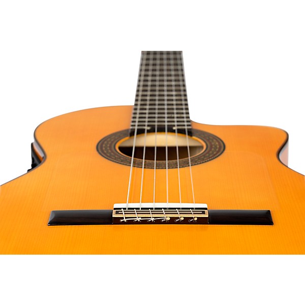 Ortega Traditional Series RCE270FT Thinline Acoustic-Electric Classical Guitar - Natural