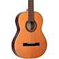Ortega Traditional Series R225G 7/8-Size Classical Guitar - Natural thumbnail