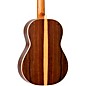 Ortega Traditional Series R225G 7/8-Size Classical Guitar - Natural
