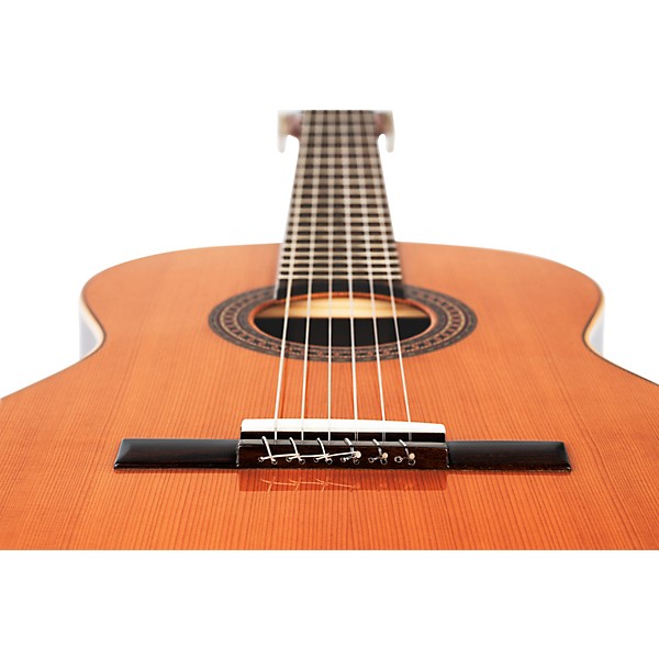 Ortega Traditional Series R225G 7/8-Size Classical Guitar - Natural