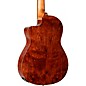 Ortega Traditional Series RCE180GT Thinline Acoustic-Electric Classical Guitar - Natural