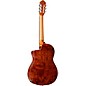 Ortega Traditional Series RCE180GT Thinline Acoustic-Electric Classical Guitar - Natural