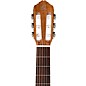 Ortega Traditional Series RCE180GT Thinline Acoustic-Electric Classical Guitar - Natural