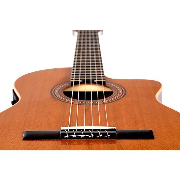 Ortega Traditional Series RCE180GT Thinline Acoustic-Electric Classical Guitar - Natural